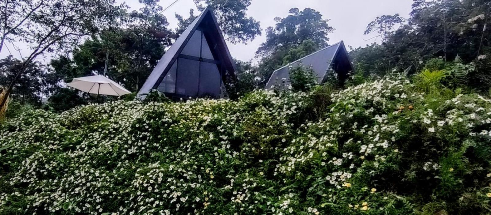 Yarumo Lodge, Rio Celeste Black Chalets บิฆากัว ภายนอก รูปภาพ