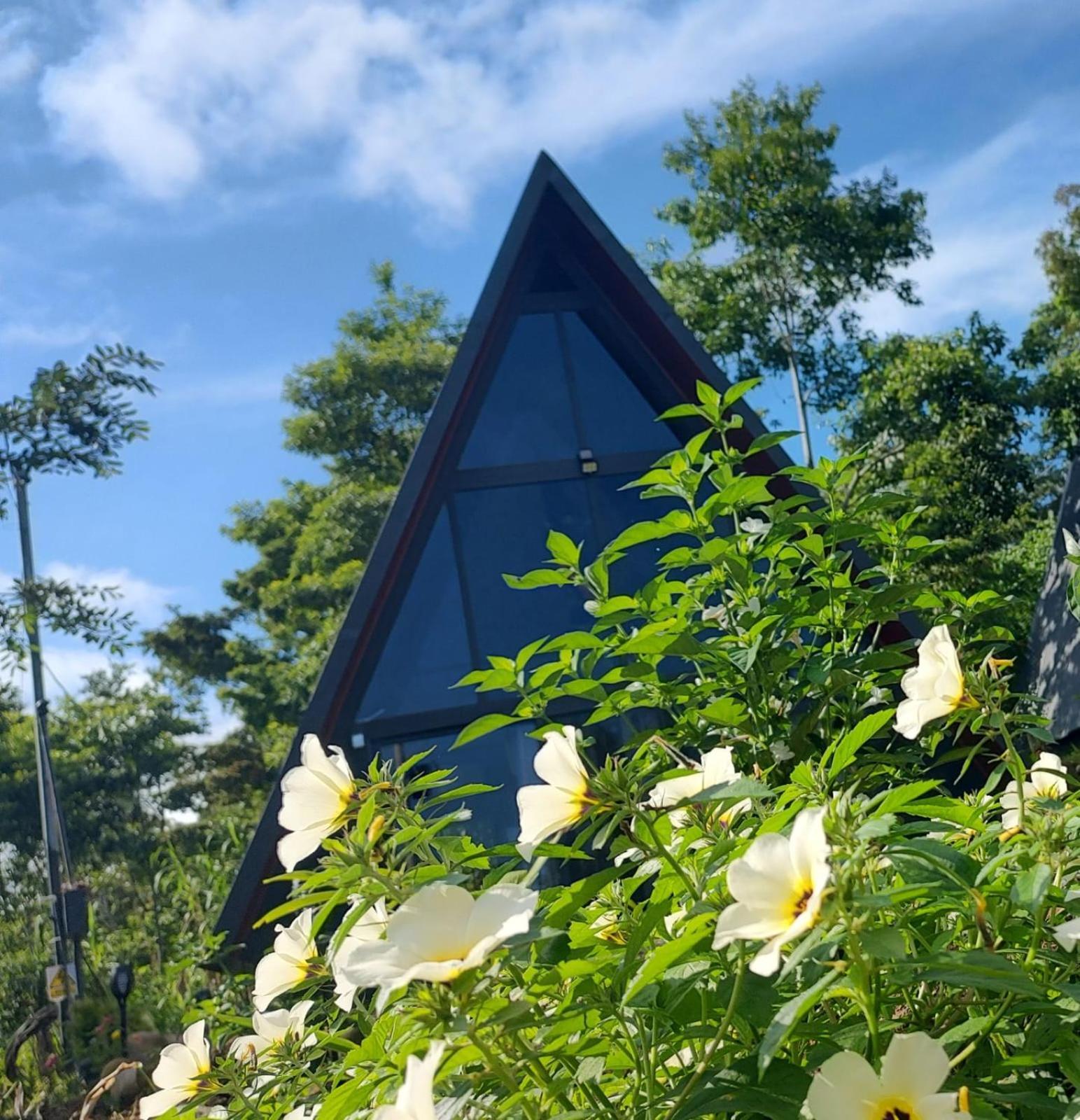 Yarumo Lodge, Rio Celeste Black Chalets บิฆากัว ภายนอก รูปภาพ