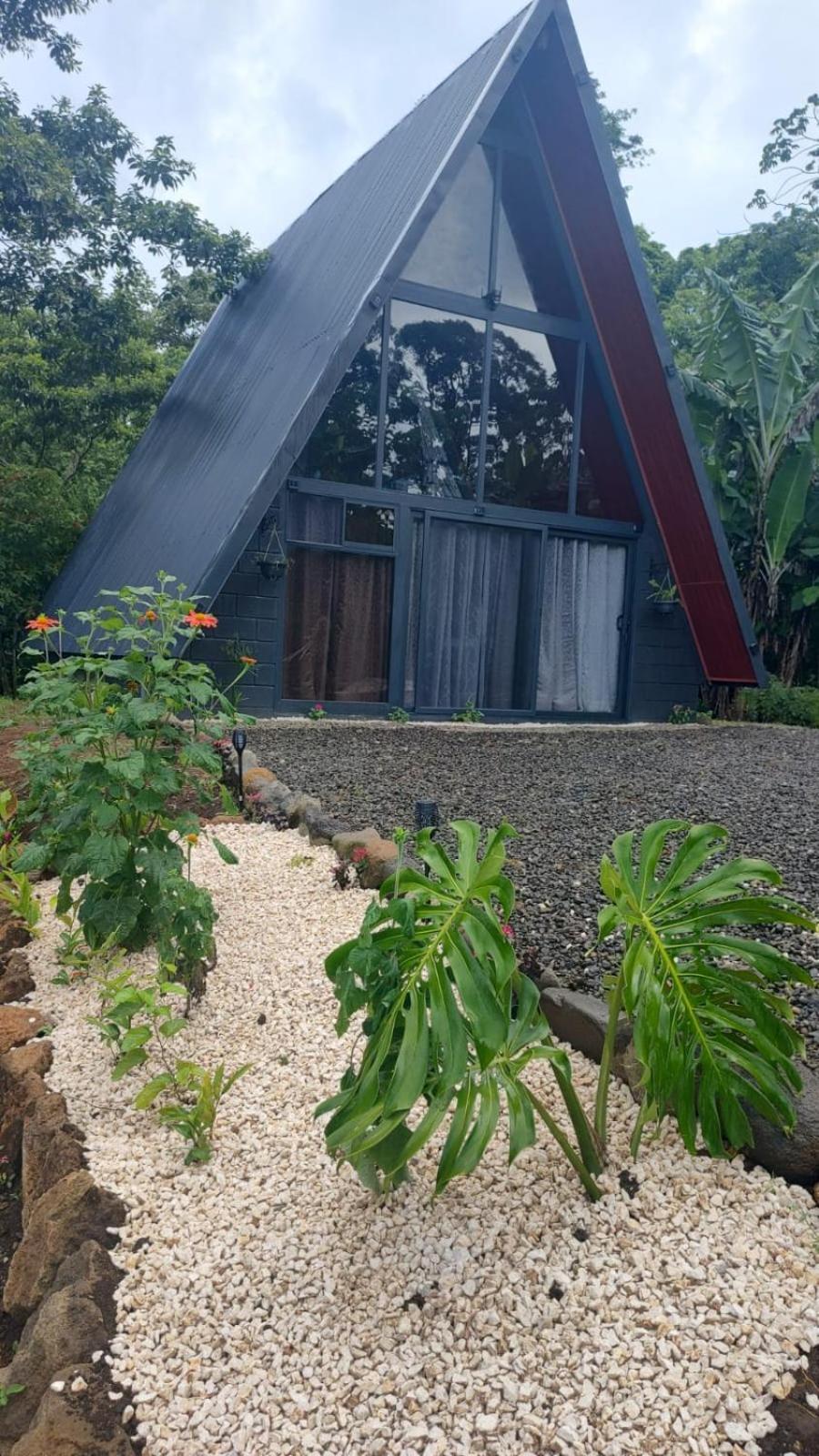 Yarumo Lodge, Rio Celeste Black Chalets บิฆากัว ภายนอก รูปภาพ