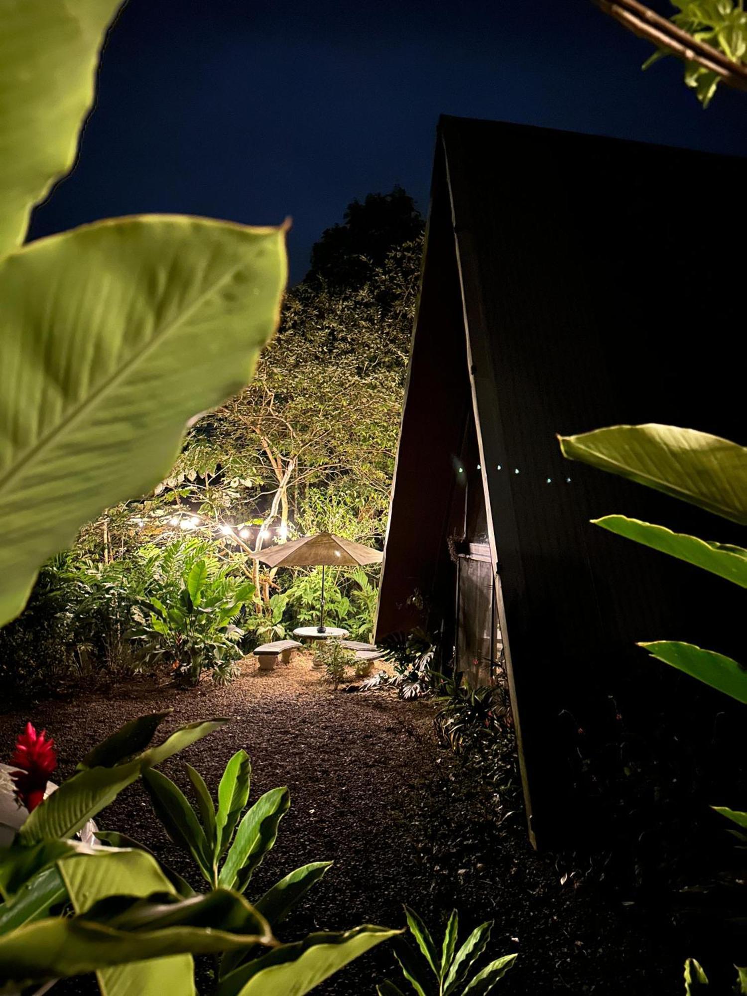 Yarumo Lodge, Rio Celeste Black Chalets บิฆากัว ภายนอก รูปภาพ